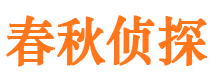 莱城私人侦探